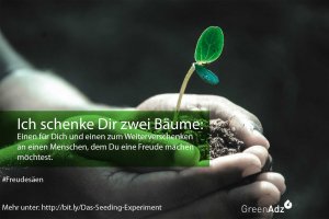 Zwei Bäume für Dich - Das Seeding-Experiment