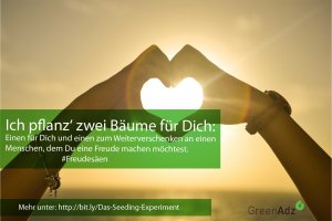 Zwei Bäume für Dich - Das Seeding-Experiment