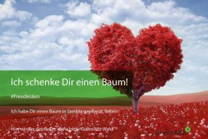 Baumschenker werden http://bit.ly/Das-Seeding-Experiment