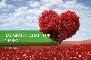 Baumpate werden und Freude schenken