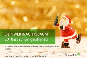 Für einen Euro einen neuen Weihnachtsbaum pflanzen
