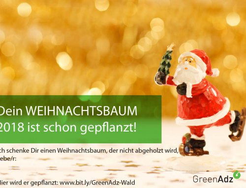 Gegen den Weihnachts-Blues: Neuen Baum pflanzen für 1,-€