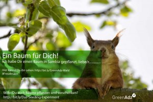 #Freudesäen mit einer 1-Euro-GreenAdz-Baumpatenschaft