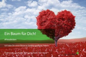 #Freudesäen mit einer GreenAdz-Baumpatenschaft