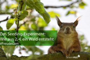 Das-Seeding-Experiment