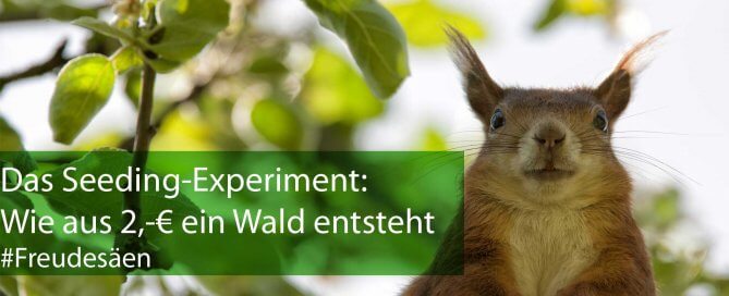 Das-Seeding-Experiment