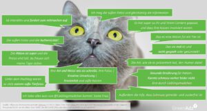 Qualitative Insights aus dem GreenAdz InfluencerPerformance-Score IPS
