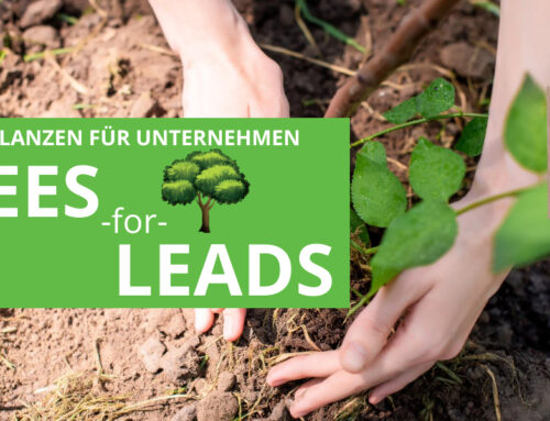 Trees4Leads – mit Bäumen Leads (und Herzen) am Green Friday gewinnen