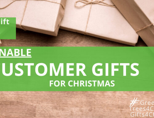 Sustainable “Green” gift ideas for customers for Christmas 2023