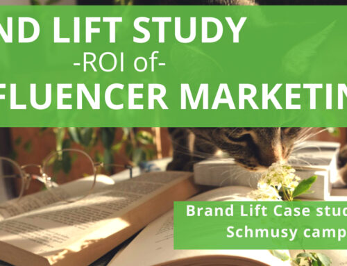 Case Study Influencer Brand Lift Study for FMCG Brand and Cat Content